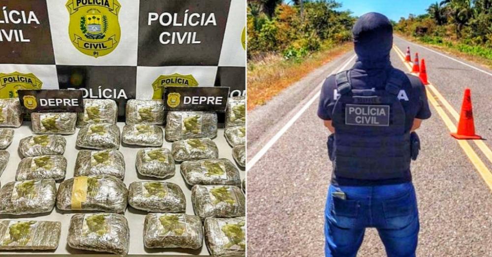 Polícia apreende 20 quilos de drogas entre os municípios de Palmeirais e Nazária
