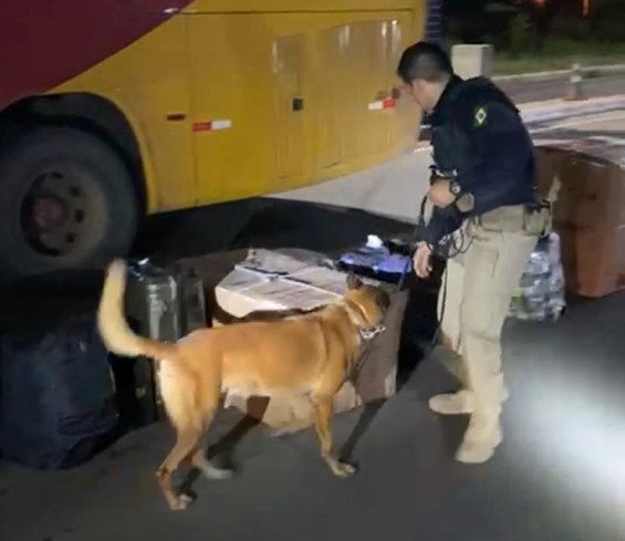 Polícia apreende maconha e cocaína dentro de ônibus durante fiscalização em Floriano