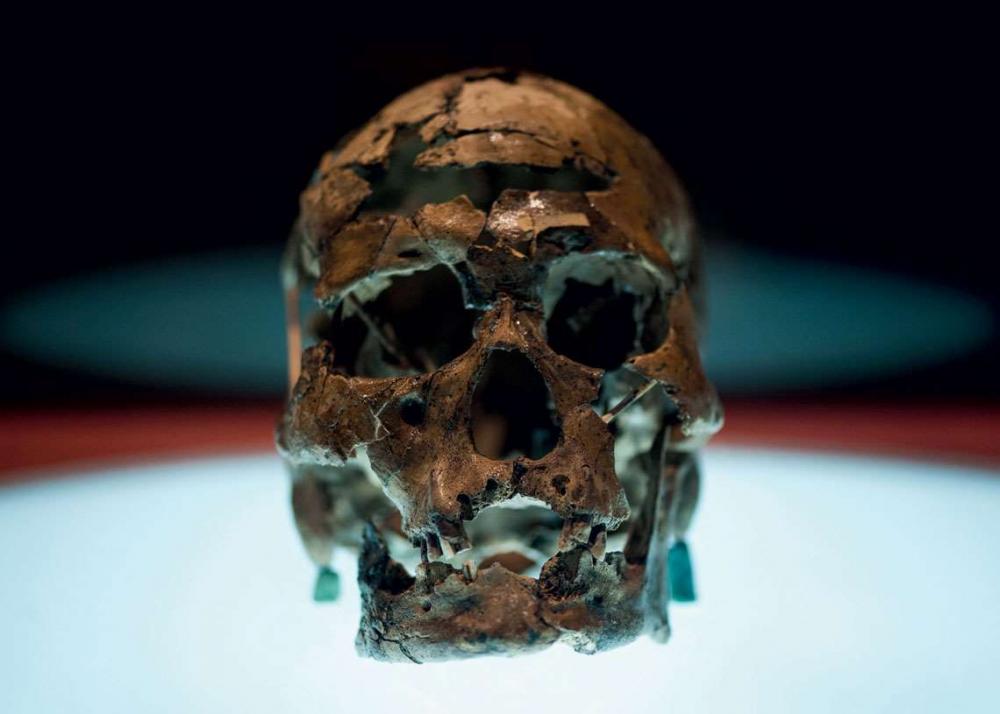 Veja! Datação indica que esqueleto encontrado no Estado do Piauí tem 9,6 mil anos