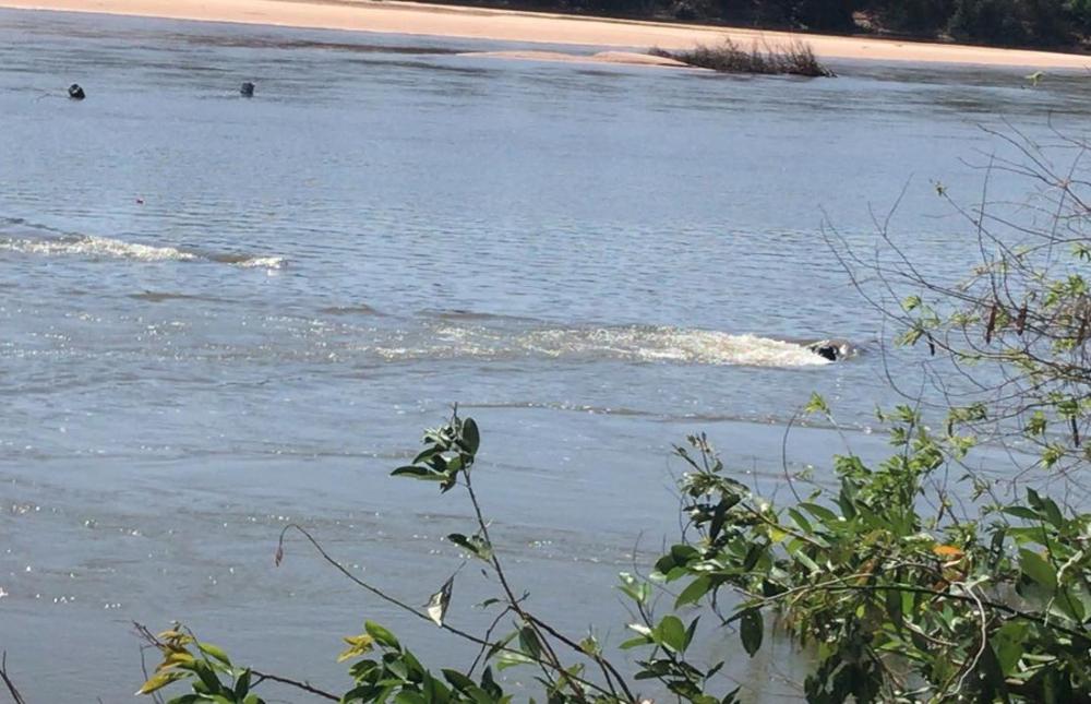 Corpo sem identificação é encontrado preso em draga dentro do Rio Parnaíba
