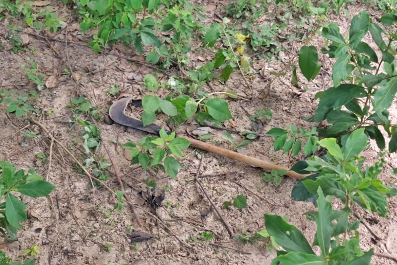 Idoso morre com golpe de foice na perna durante trabalho no Norte do Piauí