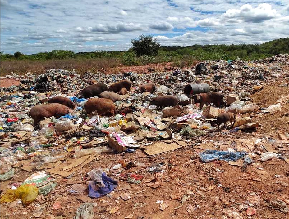 Prefeitura de Palmeirais e outras duas são denunciadas por manterem lixões a céu aberto; veja!