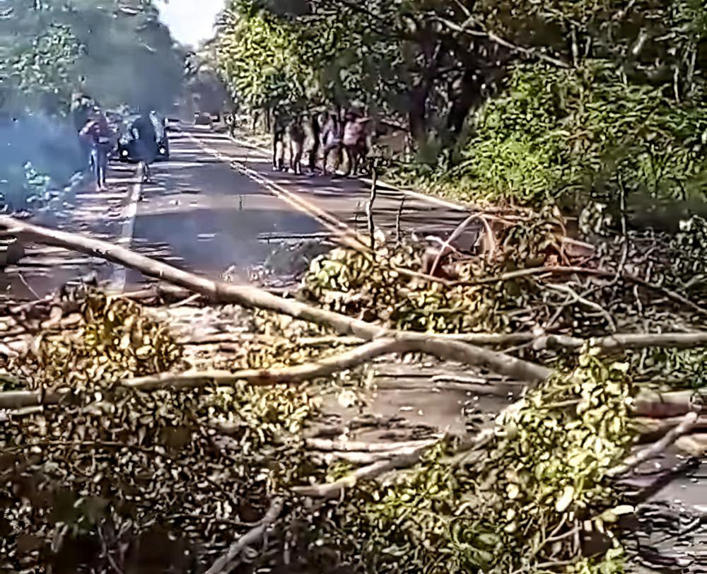 Sem água há três dias, moradores interditam PI-130 que liga os municípios de Palmeirais e Amarante