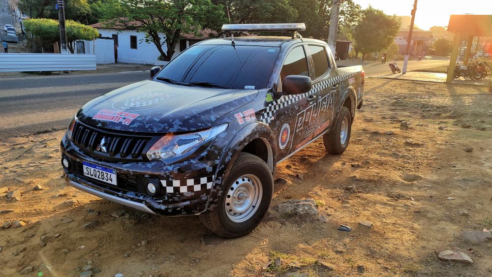 Mulher é presa após tentar matar seu companheiro pela 3ª vez no município de Palmeirais