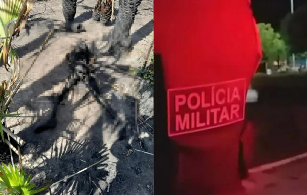 Corpo de homem é encontrado por artesã que procurava matéria-prima no Norte do Piauí