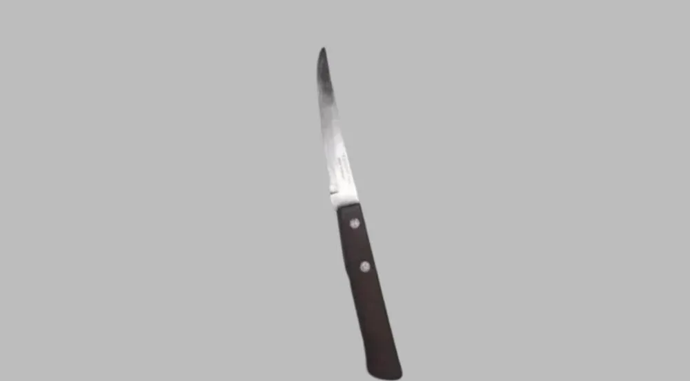 Aluna é flagrada com faca dentro de mochila em escola de Floriano