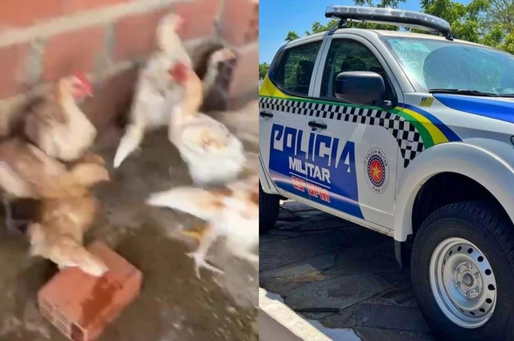 Reprodução