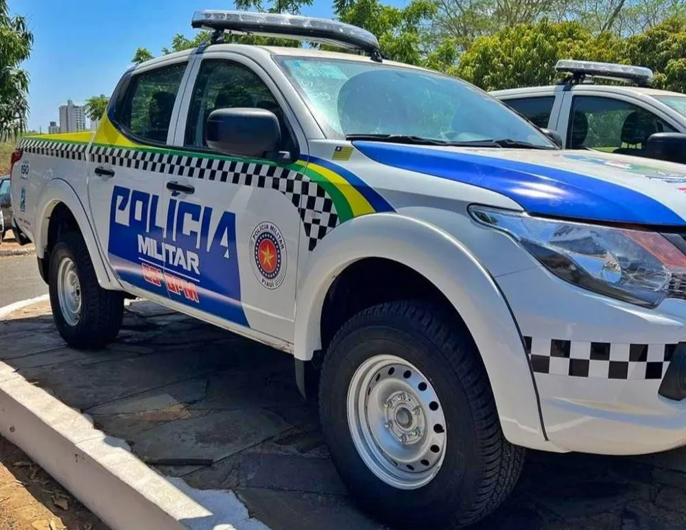 Homem é preso por suspeita de invadir APAE e matar funcionária em Floriano