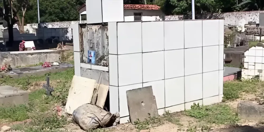 Reprodução