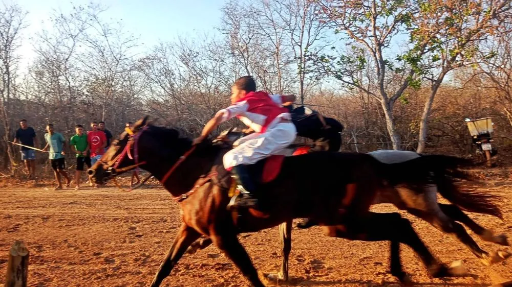Corrida de cavalos reúne público e movimenta a economia na localidade Varjota, em Monsenhor Gil