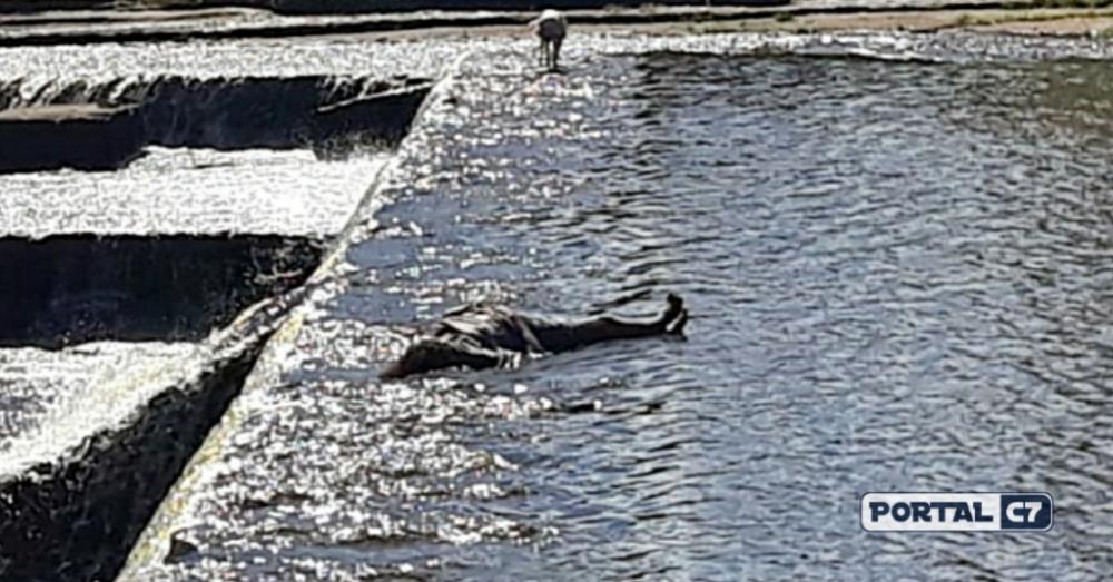 Urgente: Corpo de Mulher é encontrada presa em Barragem do Piauí