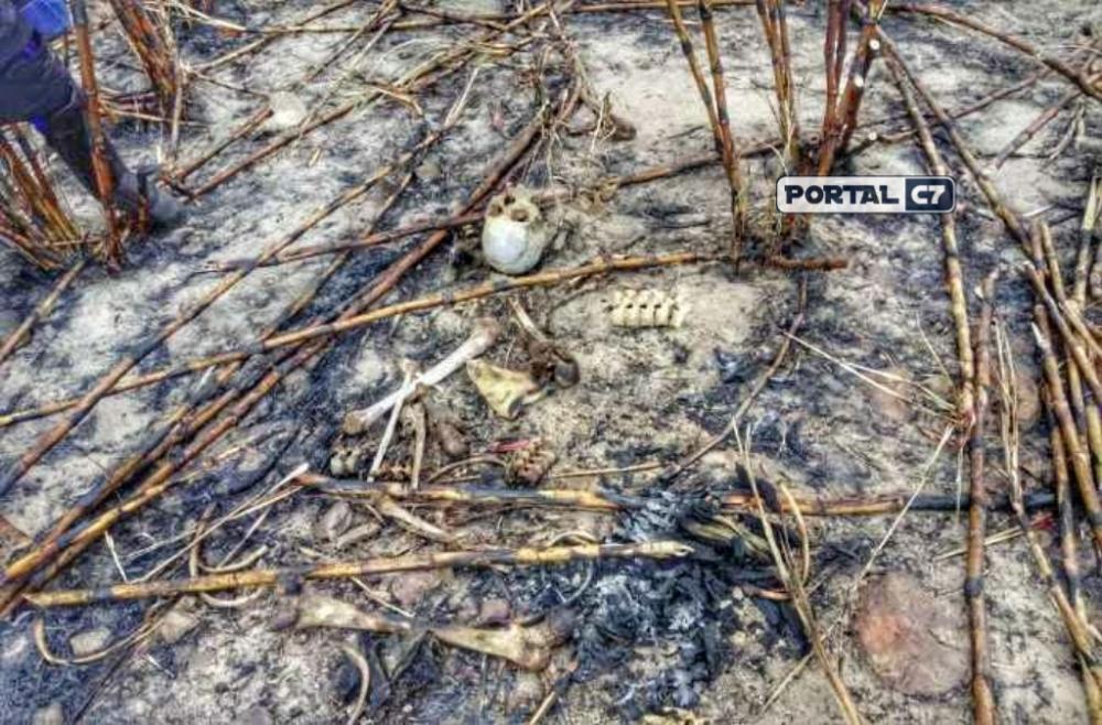Ossada humana é encontrada por trabalhadores em canavial no Piauí