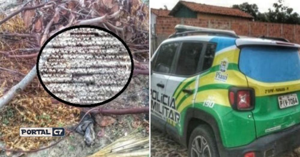 Jovem de Brasília que estava desaparecido é encontrado morto e carbonizado no Piauí