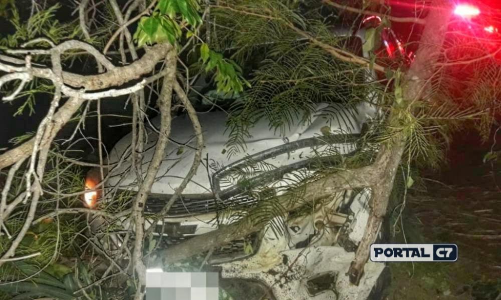 TRAGÉDIA: Professora morre em grave acidente na BR 343 em Lagoinha do Piauí