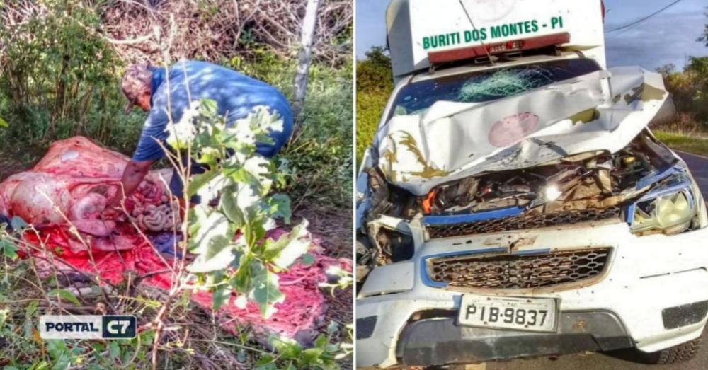 Ambulância colide com animal em entrada de cidade do Piauí