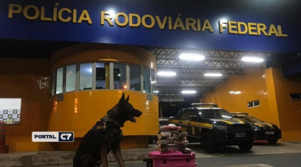 PRF realiza apreensão de maconha e cocaína avaliada em 145 mil em ônibus no Piauí