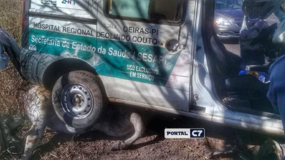 Ambulância fica destruída após colidir com animal na BR-343 em Angical do Piauí