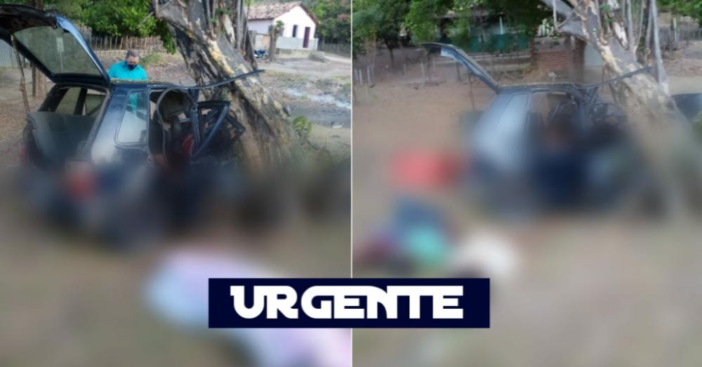 URGENTE: Três pessoas morrem após carro colidir em árvore na BR-316 no Piauí