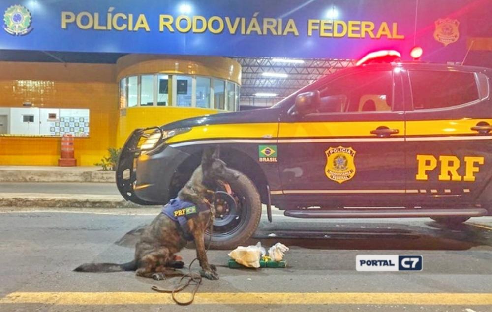 PRF apreende em ônibus drogas avaliadas em R$ 50 mil na cidade de Floriano